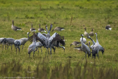 2020_09_24-10_02_16_118