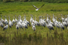 2020_09_24-10_07_02_120