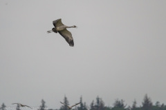 2020_09_24-10_07_45_121