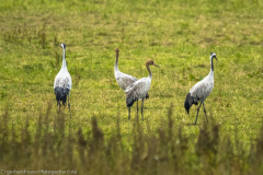 2020_09_24-10_08_40_122