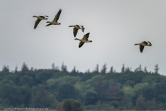 2020_09_24-10_20_31_123