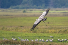 2020_09_24-10_26_04_124