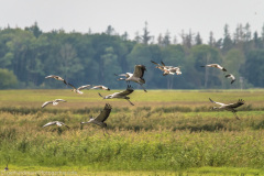 2020_09_24-10_32_31_125