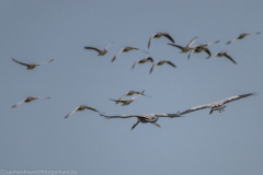 2020_09_24-10_34_18_126