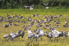 2020_09_24-10_36_21_127