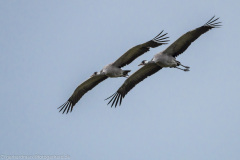 2020_09_24-10_40_36_129