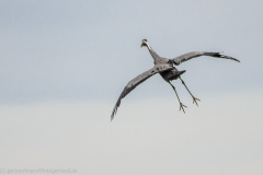 2020_09_24-10_48_13_130