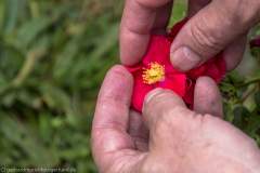 2020_09_24-12_44_17_136