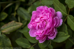 2020_09_24-12_46_32_137