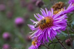 2020_09_24-12_57_56_140