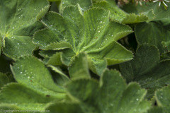 2020_09_24-13_01_43_142