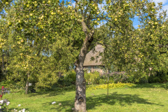 2020_09_24-13_15_16_146