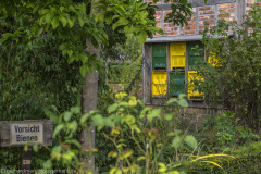 2020_09_24-13_28_27_151