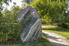 2020_09_24-14_17_27_153