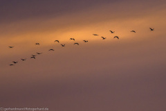 2020_09_24-18_48_54_168