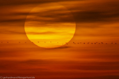 2020_09_24-18_50_40_169