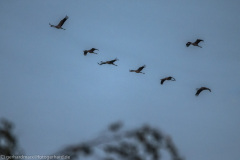 2020_09_24-18_52_33_170