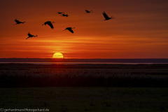 2020_09_24-18_57_40_172