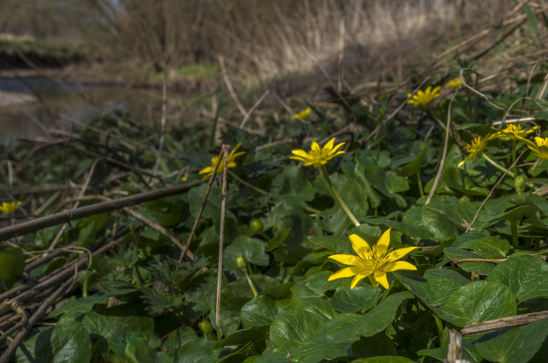 2022_03_21-11_58_13_5