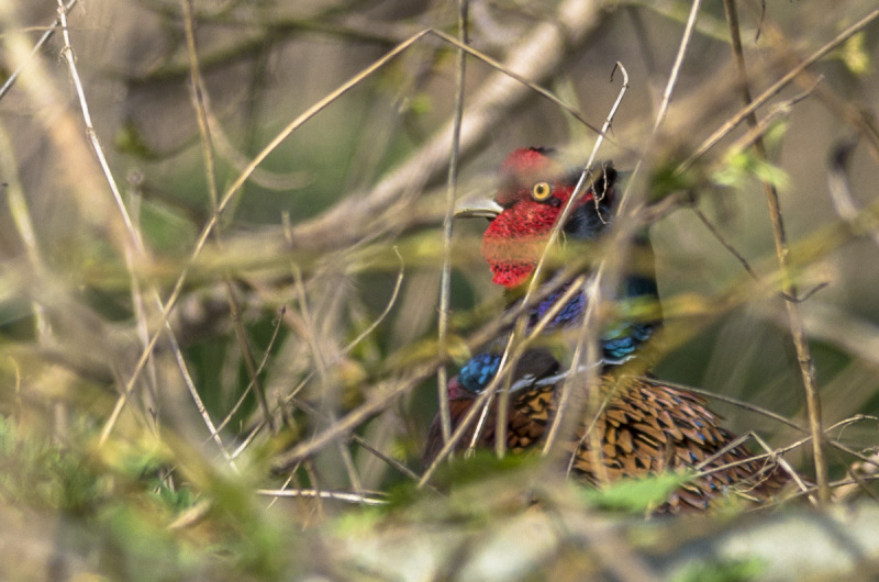 2022_03_21-12_44_32_12