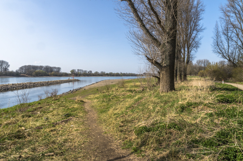 2022_03_21-12_50_27_14