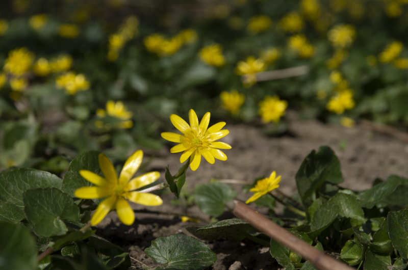 2022_03_21-12_53_29_15