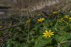 2022_03_21-11_58_13_5