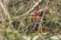 2022_03_21-12_44_32_12