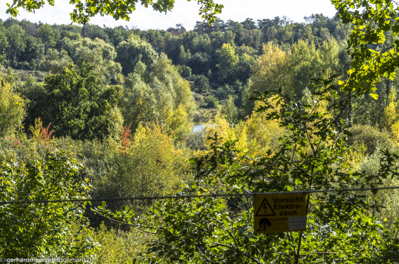 2022-09-30_14-37-28-1