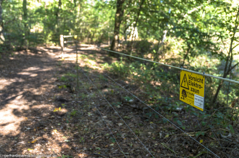 2022-09-30_14-43-28-2