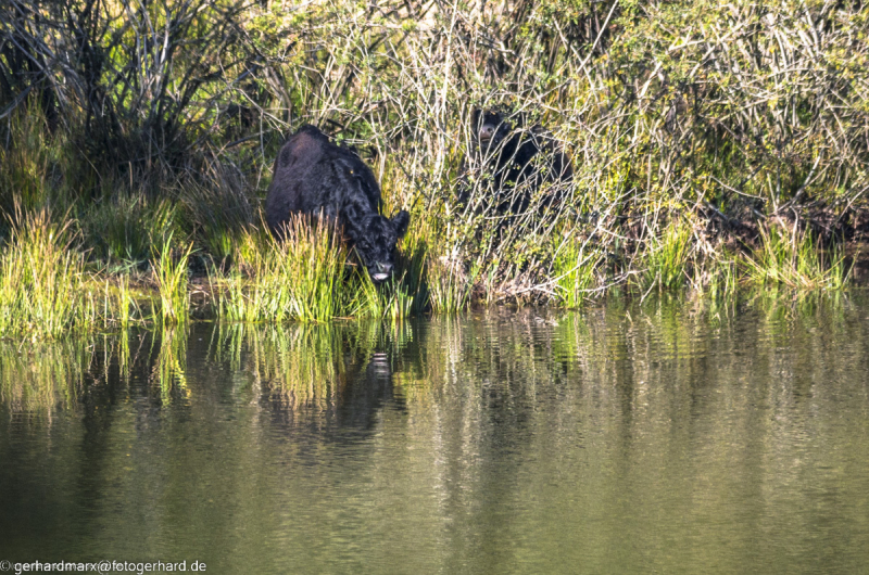 2022-09-30_14-57-36-3