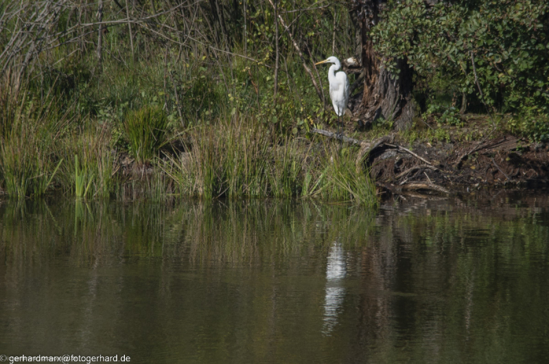 2022-09-30_15-01-22-4