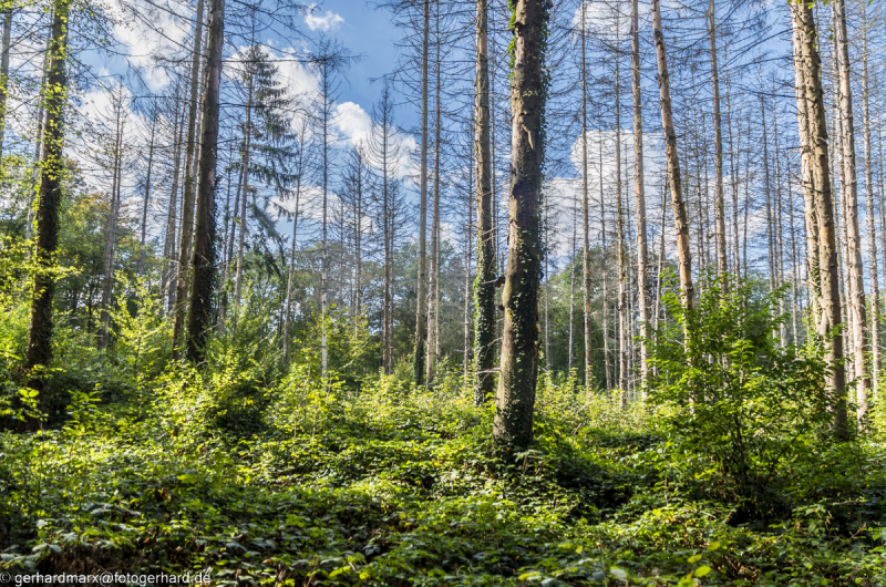 2022-09-30_15-26-49-6