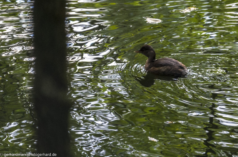 2022-09-30_15-55-36-8