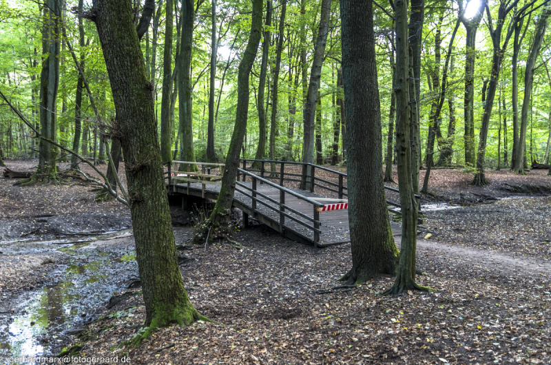 2022-09-30_16-15-34-12