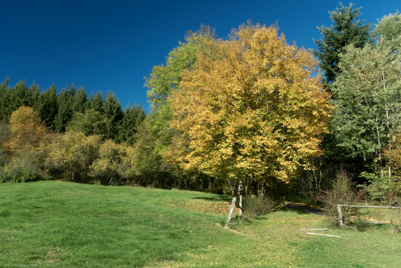 2010_10_10-13_26_05