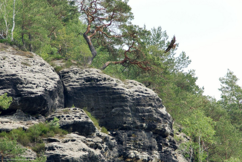 2007_05_23-14_20_42-38