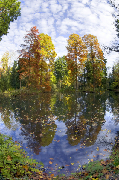 2014-11-01_16-09-57_7-2_8_tonemapped