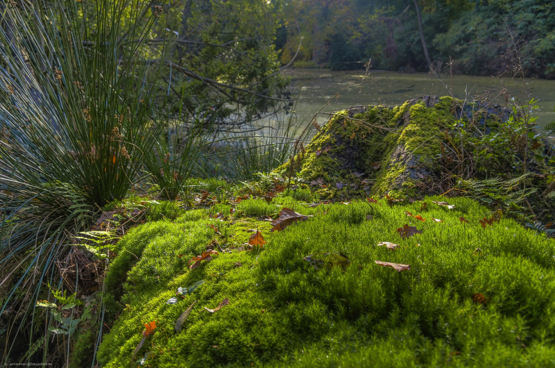 2014-11-01_16-32-16_-2_-3_tonemapped