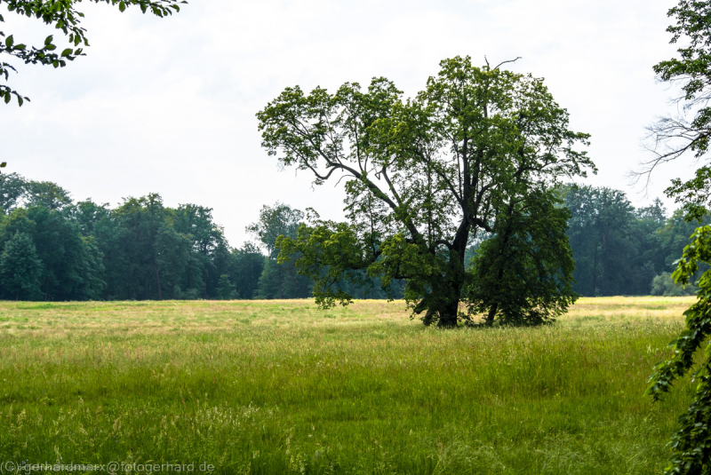 2007_05_28-16_13_24_7