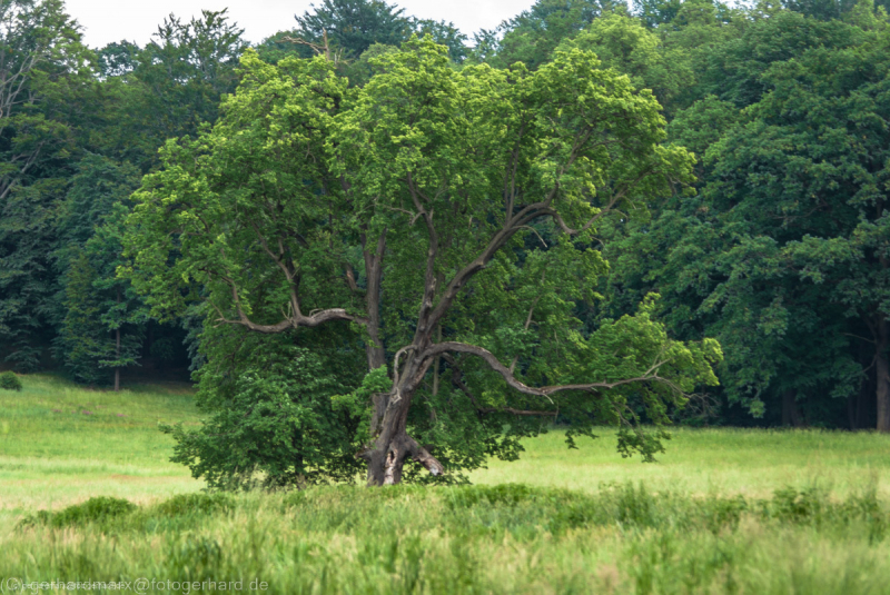 2007_05_28-16_17_44_8