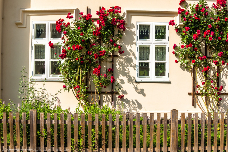 2007_05_28-16_44_12_12