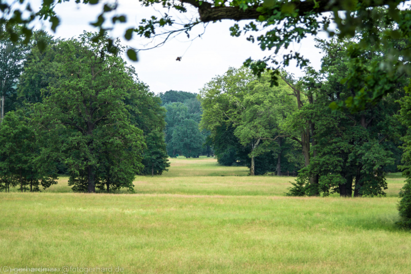 2007_05_28-17_45_08_19