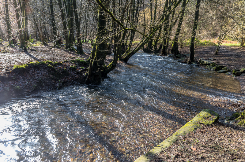 2022_02_23-11_49_22_1