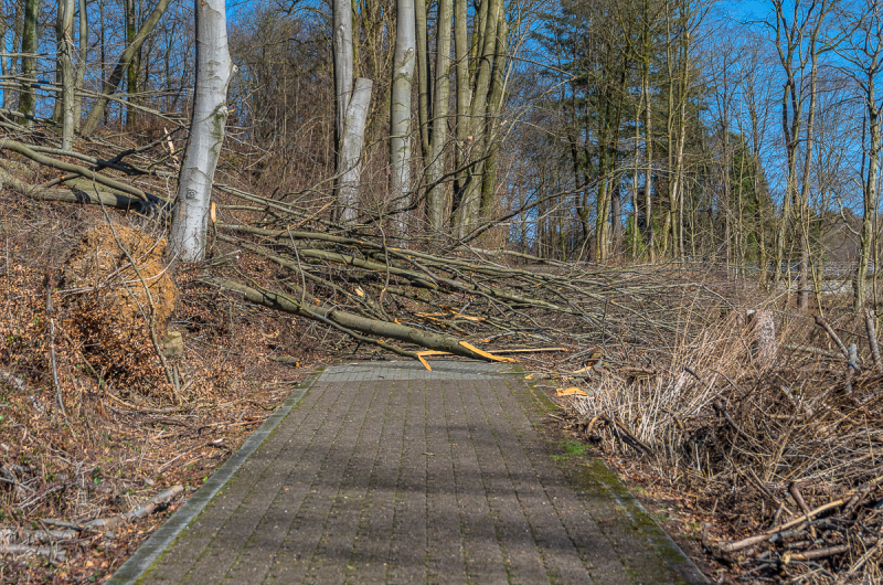 2022_02_23-12_39_07_3