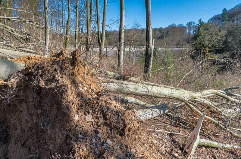 2022_02_23-12_45_24_4