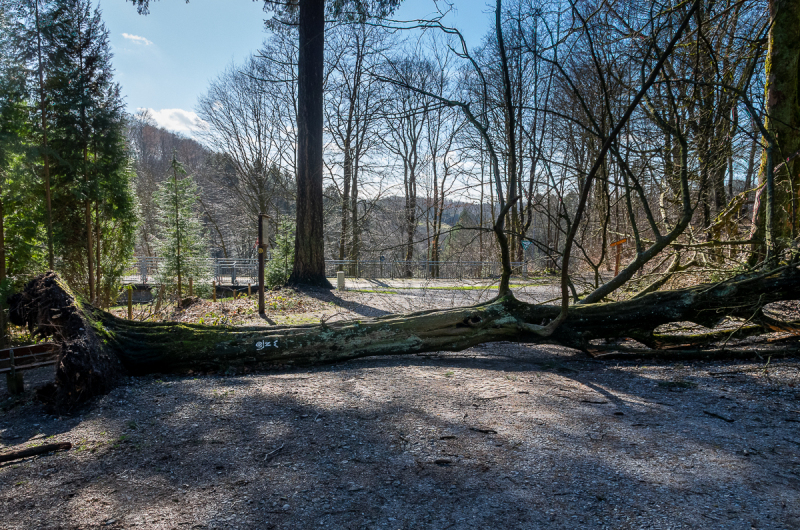 2022_02_23-13_12_49_5