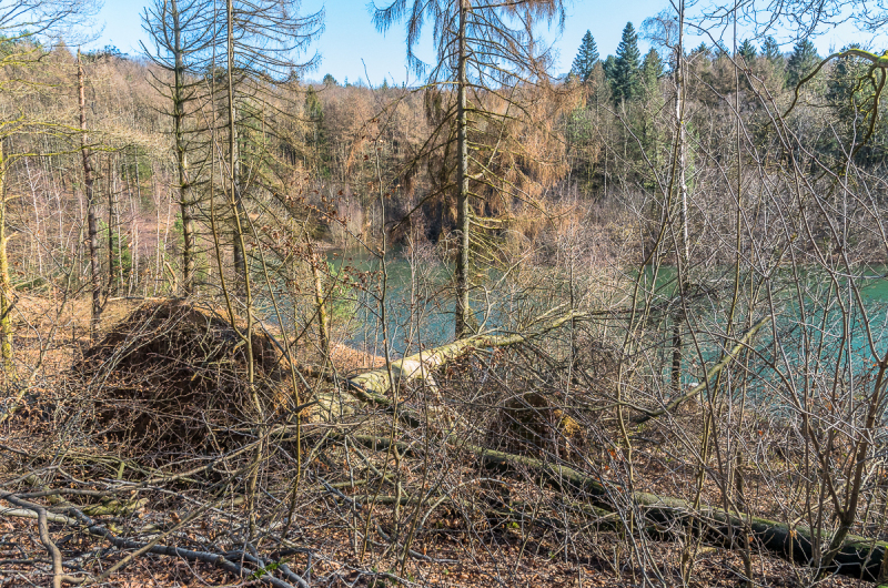 2022_02_23-13_14_10_6