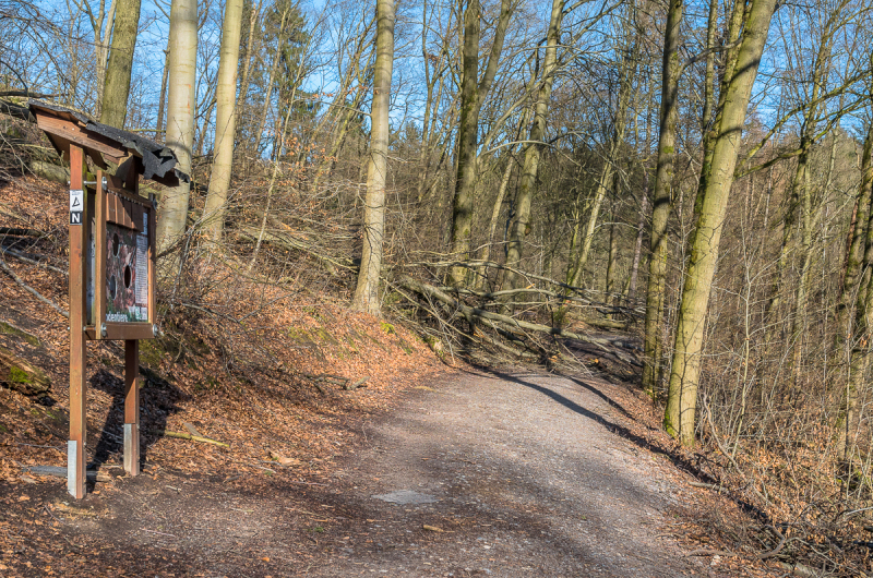 2022_02_23-13_14_19_7