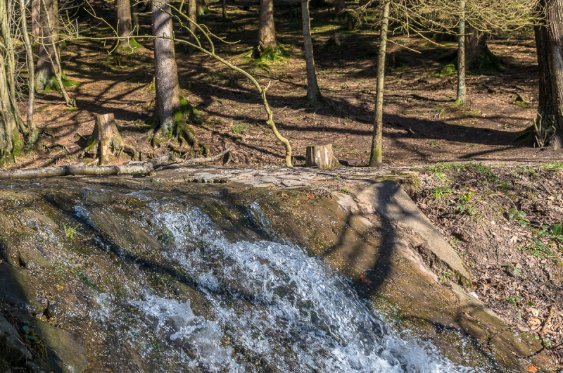 2022_02_23-13_24_56_8